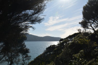 Rakiura Track
